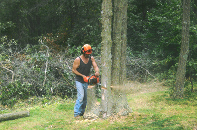 Jim's Tree Service
