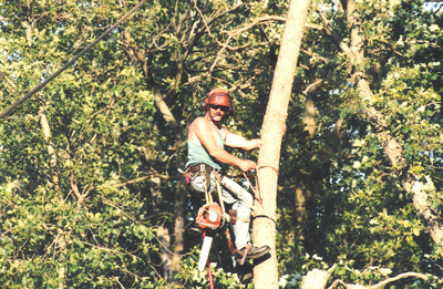 Jim's Tree Service